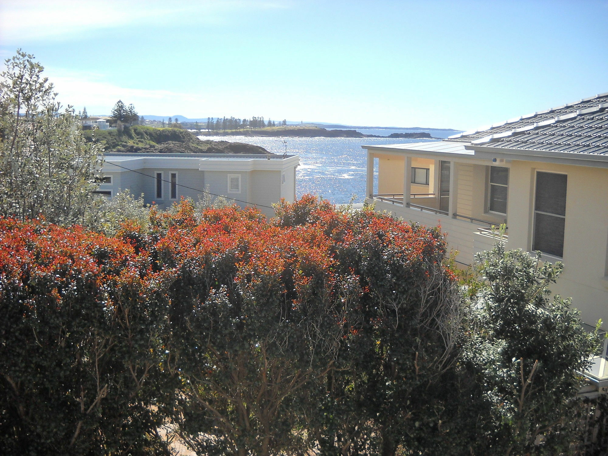 Shutters By The Sea Kiama-Sea Views-Waterfront-Private On Coastal Walk Bagian luar foto